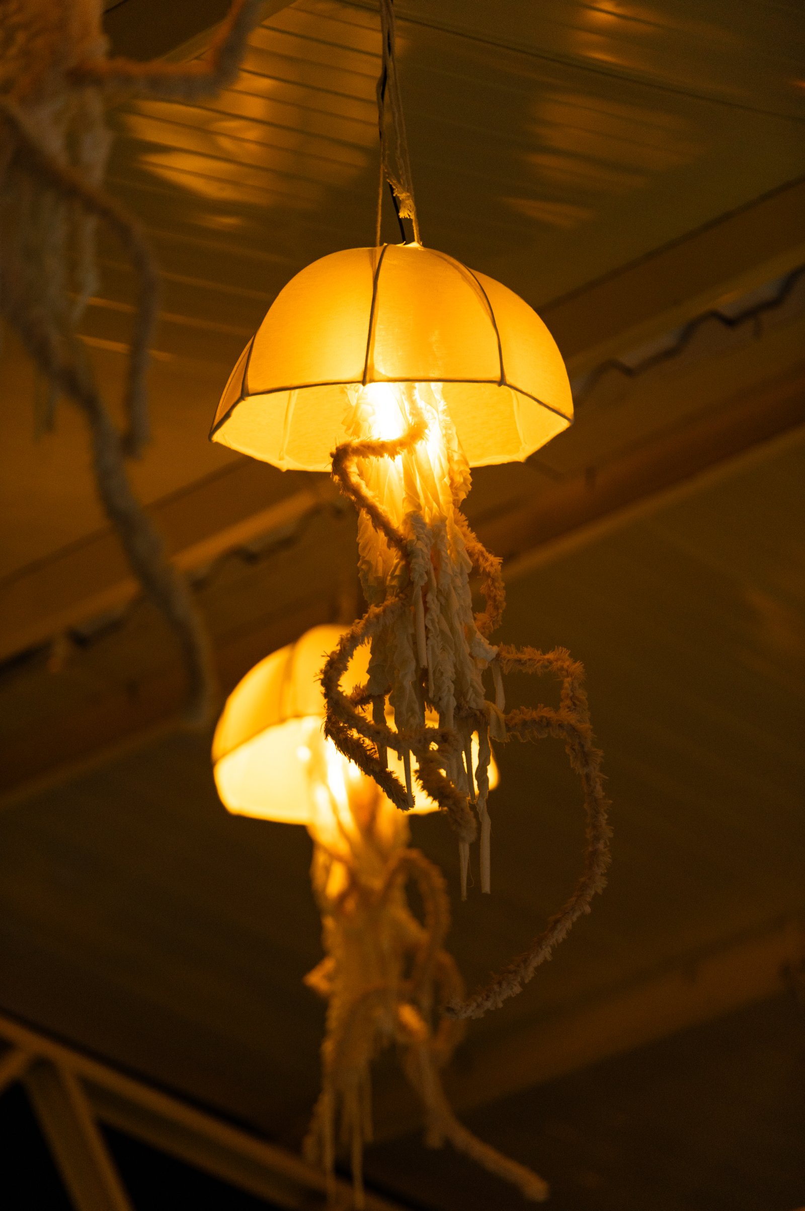 Registro Playa por @maidill #8759