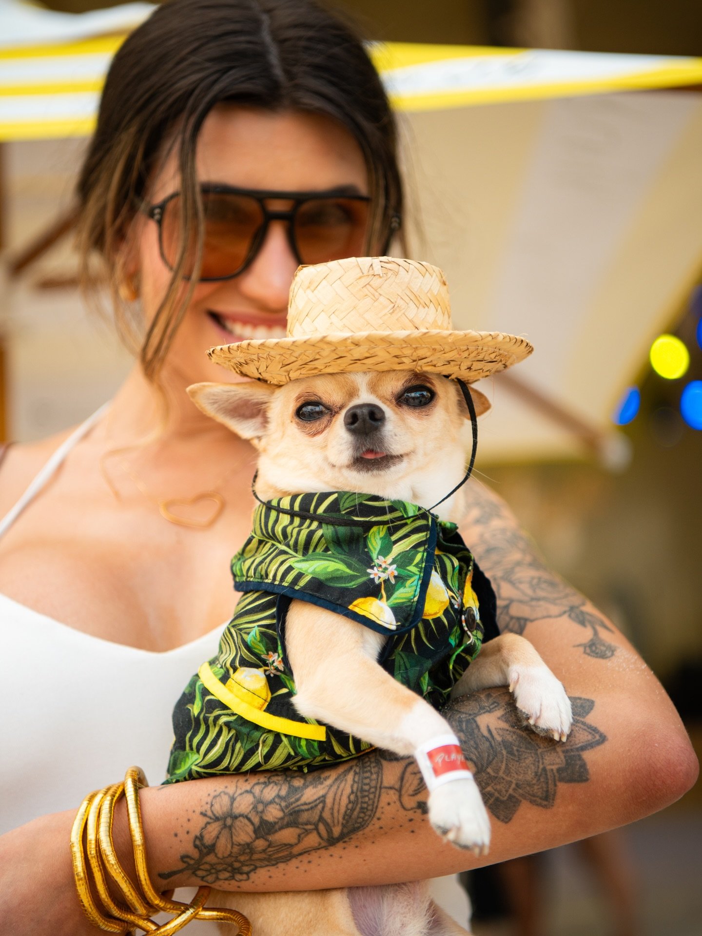 Registro oficial Playa 4